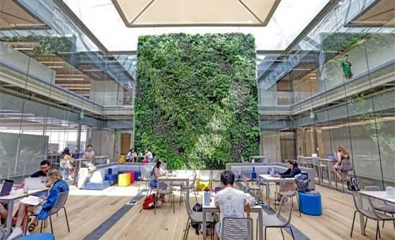 живая стена