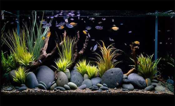 Базальтовый грунт для аквариума