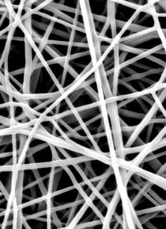 Структура волокна